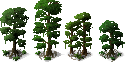 JungleTrees.png