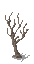 Dead tree.png