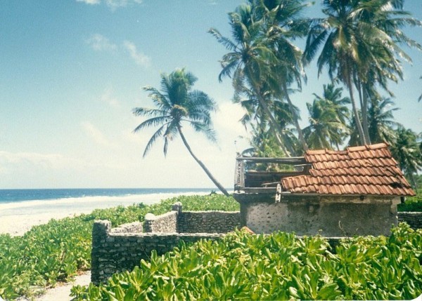 ZIVAI TOMB.jpg