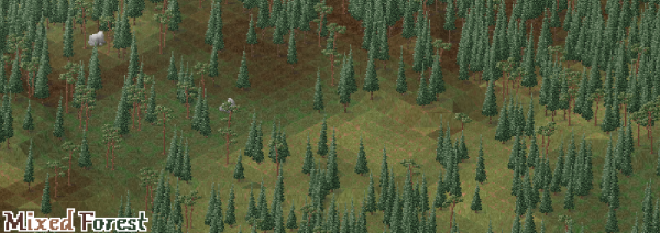 showcase_biome_mixedforest.png